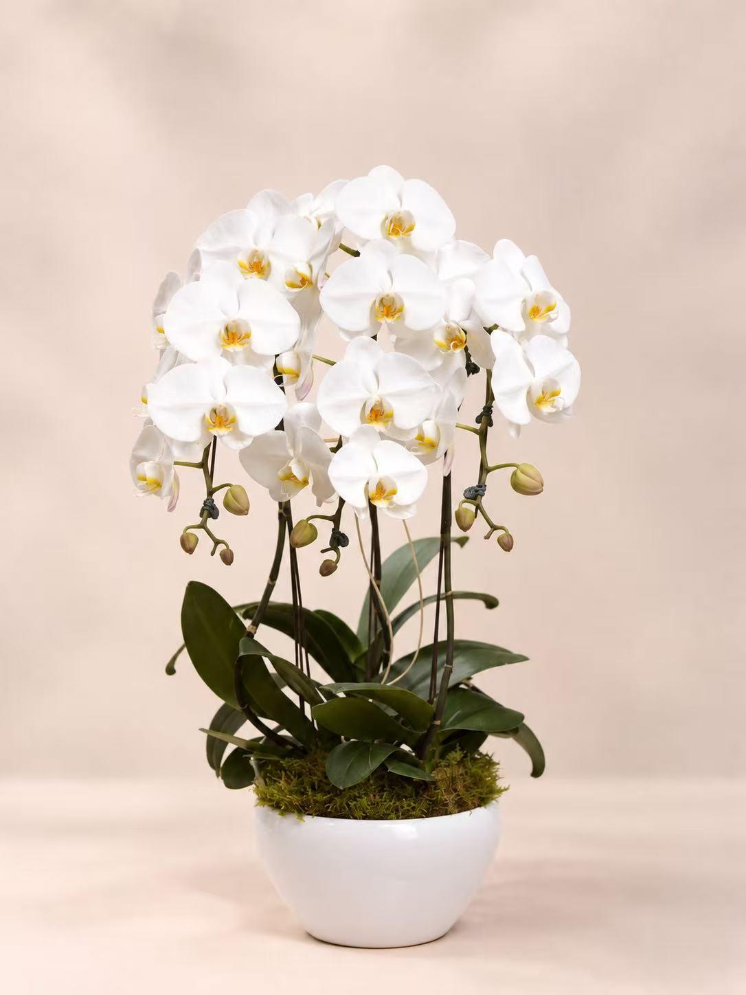 PO 02